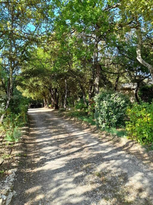 Villa Le Bosquet En Luberon. Ménerbes Zewnętrze zdjęcie