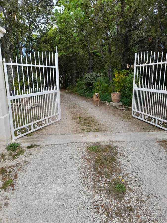 Villa Le Bosquet En Luberon. Ménerbes Zewnętrze zdjęcie
